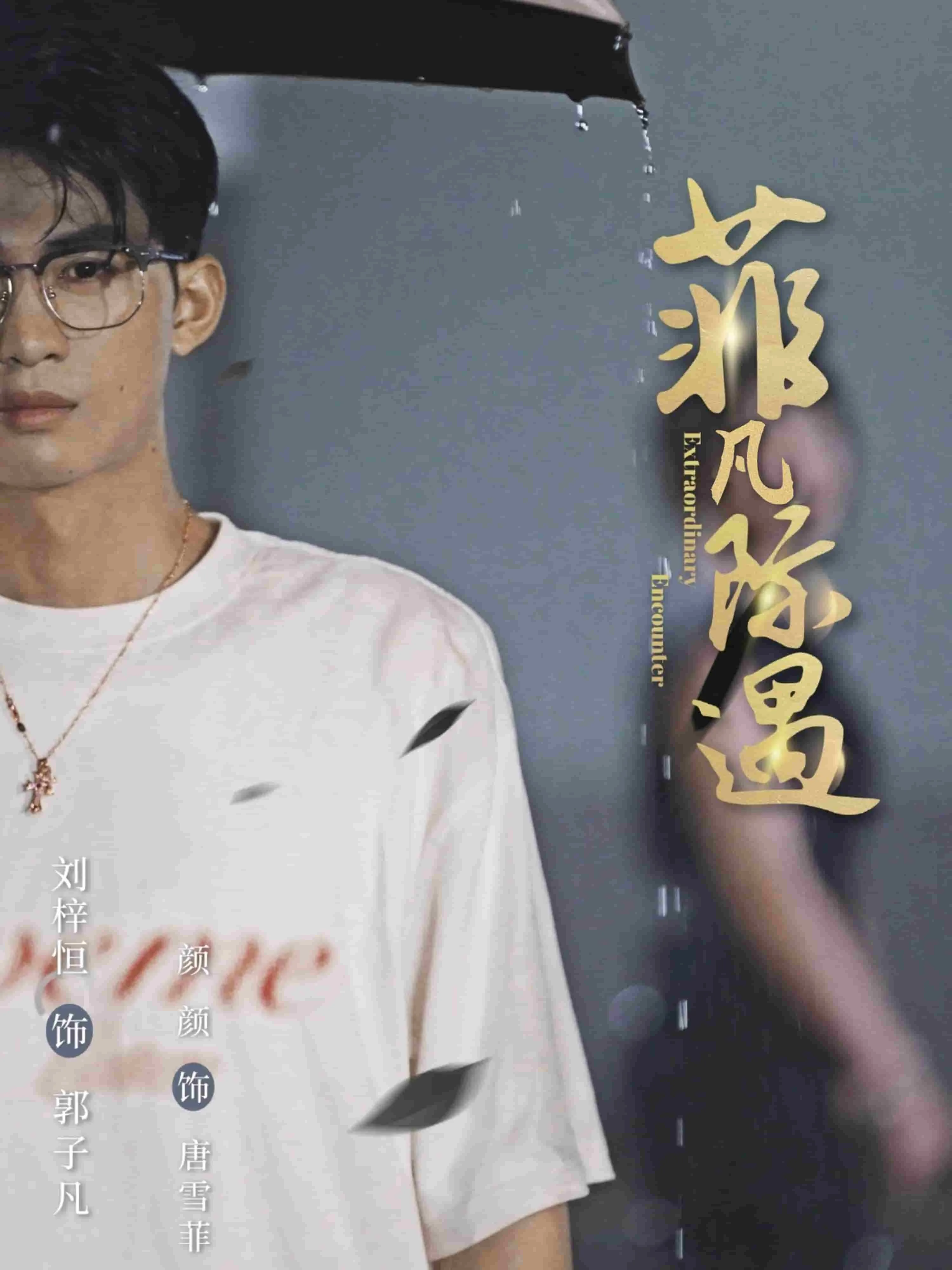 菲凡际遇