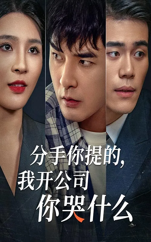 分手你提的,我开公司你哭什么