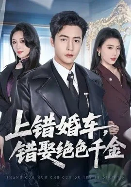 上错婚车,错娶绝色千金